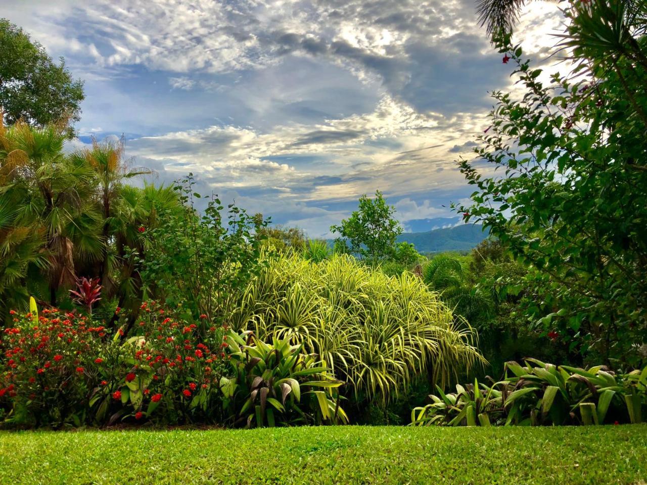 Daintree Manor B&B Exterior foto